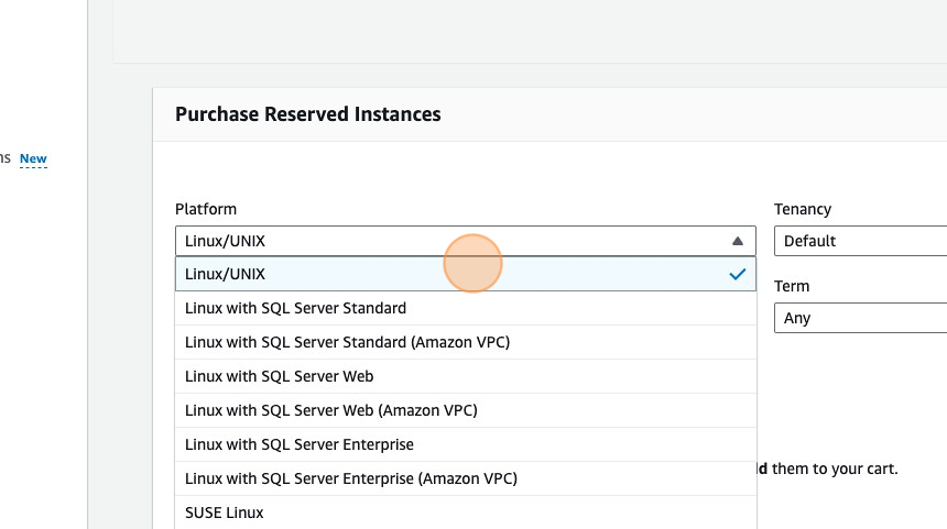 Reserved Instances