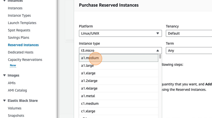Reserved Instances