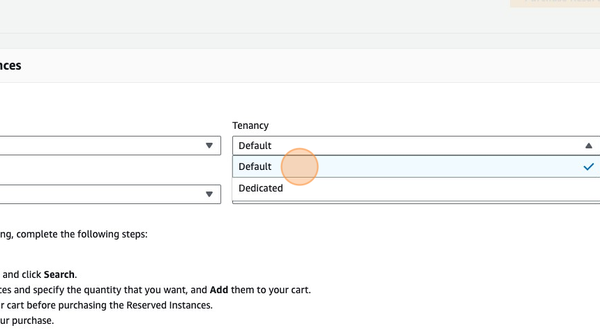 Reserved Instances