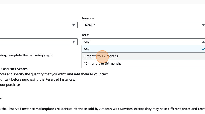 Reserved Instances