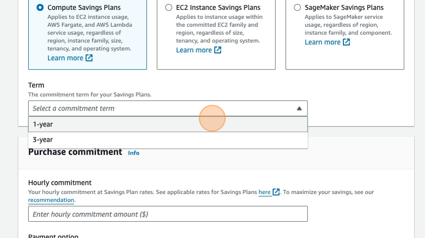 Savings Plans